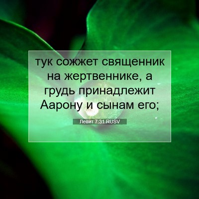 Picture 07 - Левит 7:31 RUSV - тук сожжет священник на - Bible Verse Picture