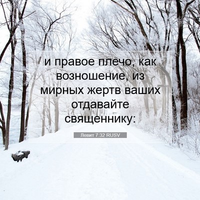 Picture 07 - Левит 7:32 RUSV - и правое плечо, как - Bible Verse Picture