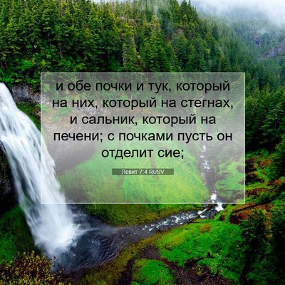 Picture 07 - Левит 7:4 RUSV - и обе почки и тук, который - Bible Verse Picture