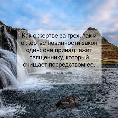 Picture 07 - Левит 7:7 RUSV - Как о жертве за грех, так и - Bible Verse Picture