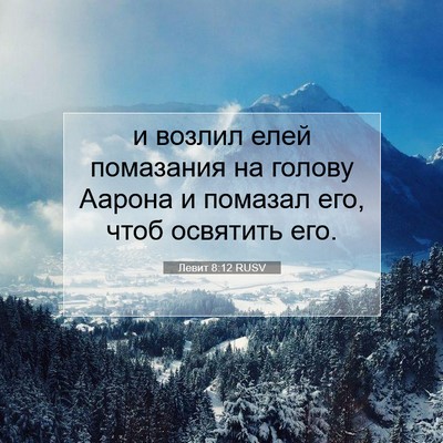 Picture 07 - Левит 8:12 RUSV - и возлил елей помазания на - Bible Verse Picture