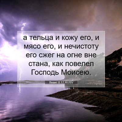 Picture 07 - Левит 8:17 RUSV - а тельца и кожу его, и мясо - Bible Verse Picture
