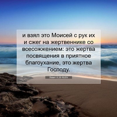 Picture 07 - Левит 8:28 RUSV - и взял это Моисей с рук их и - Bible Verse Picture