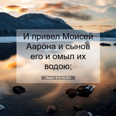 Picture 07 - Левит 8:6 RUSV - И привел Моисей Аарона и - Bible Verse Picture