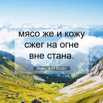 Picture 07 - Левит 9:11 RUSV - мясо же и кожу сжег на огне - Bible Verse Picture