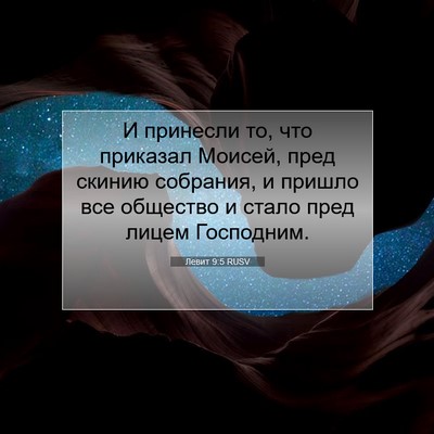 Picture 07 - Левит 9:5 RUSV - И принесли то, что приказал - Bible Verse Picture