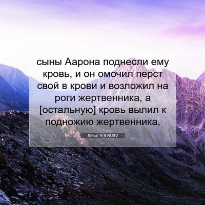 Picture 07 - Левит 9:9 RUSV - сыны Аарона поднесли ему - Bible Verse Picture