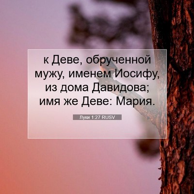 Picture 07 - Луки 1:27 RUSV - к Деве, обрученной мужу, - Bible Verse Picture
