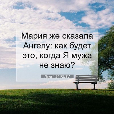 Picture 07 - Луки 1:34 RUSV - Мария же сказала Ангелу: - Bible Verse Picture