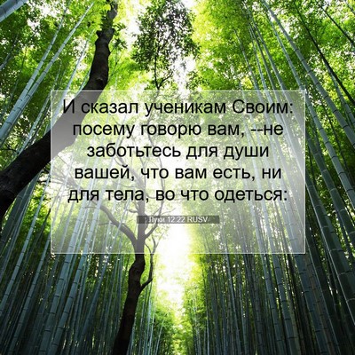 Picture 07 - Луки 12:22 RUSV - И сказал ученикам Своим: - Bible Verse Picture