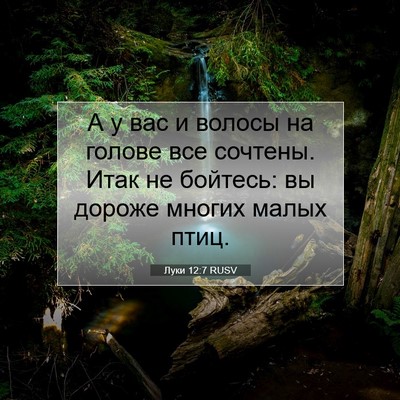 Picture 07 - Луки 12:7 RUSV - А у вас и волосы на голове - Bible Verse Picture