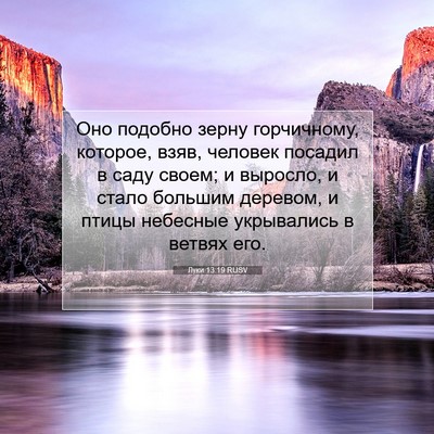 Picture 07 - Луки 13:19 RUSV - Оно подобно зерну - Bible Verse Picture