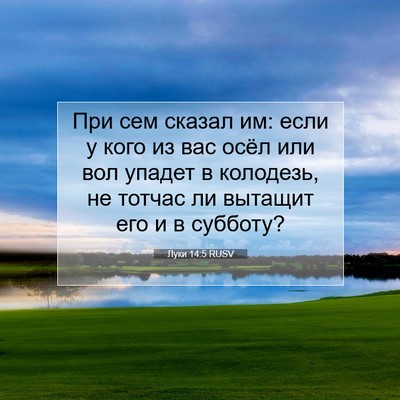 Picture 07 - Луки 14:5 RUSV - При сем сказал им: если у - Bible Verse Picture