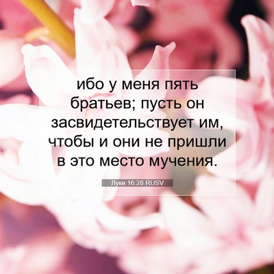 Picture 07 - Луки 16:28 RUSV - ибо у меня пять братьев; - Bible Verse Picture