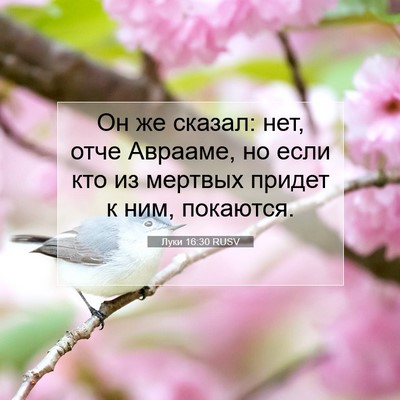 Picture 07 - Луки 16:30 RUSV - Он же сказал: нет, отче - Bible Verse Picture