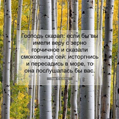 Picture 07 - Луки 17:6 RUSV - Господь сказал: если бы вы - Bible Verse Picture