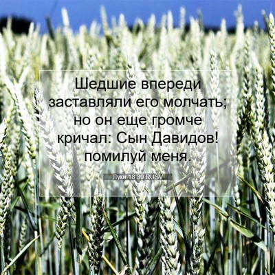 Picture 07 - Луки 18:39 RUSV - Шедшие впереди заставляли - Bible Verse Picture