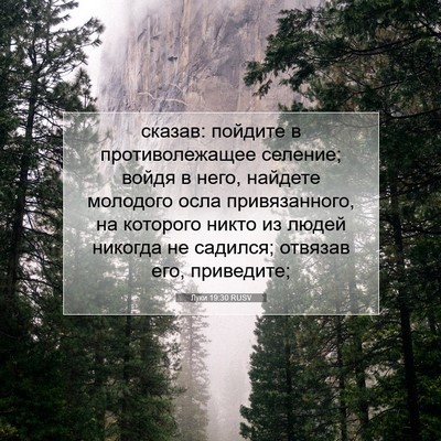 Picture 07 - Луки 19:30 RUSV - сказав: пойдите в - Bible Verse Picture