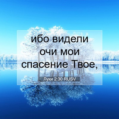 Picture 07 - Луки 2:30 RUSV - ибо видели очи мои - Bible Verse Picture