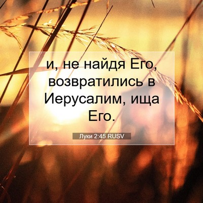 Picture 07 - Луки 2:45 RUSV - и, не найдя Его, - Bible Verse Picture