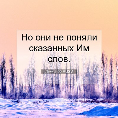 Picture 07 - Луки 2:50 RUSV - Но они не поняли сказанных - Bible Verse Picture