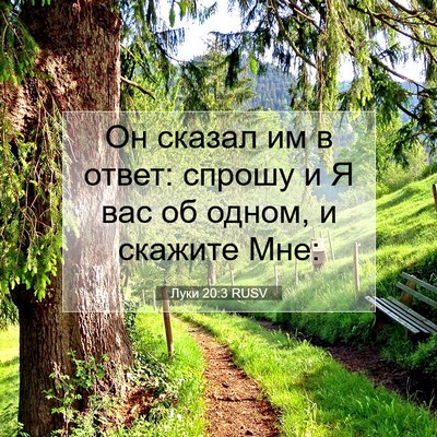 Picture 07 - Луки 20:3 RUSV - Он сказал им в ответ: - Bible Verse Picture