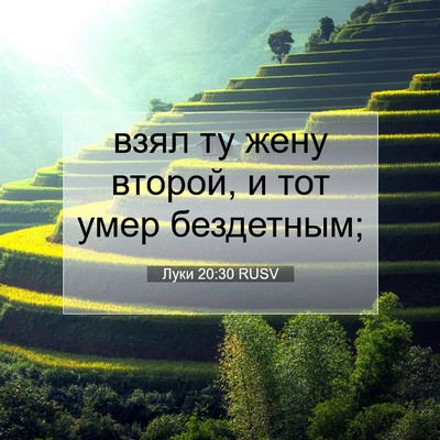 Picture 07 - Луки 20:30 RUSV - взял ту жену второй, и тот - Bible Verse Picture