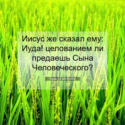 Picture 07 - Луки 22:48 RUSV - Иисус же сказал ему: Иуда! - Bible Verse Picture