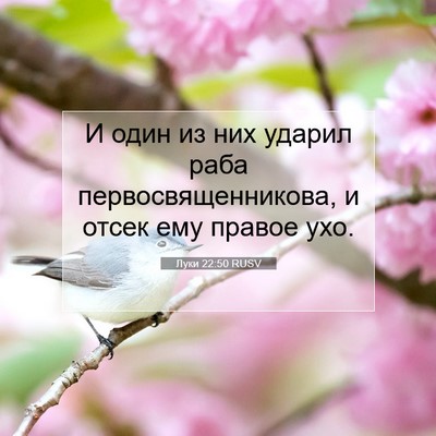 Picture 07 - Луки 22:50 RUSV - И один из них ударил раба - Bible Verse Picture