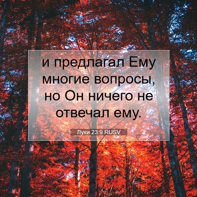 Picture 07 - Луки 23:9 RUSV - и предлагал Ему многие - Bible Verse Picture