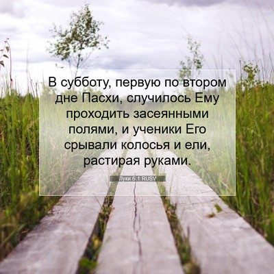 Picture 07 - Луки 6:1 RUSV - В субботу, первую по втором - Bible Verse Picture