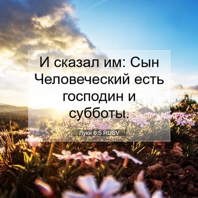 Picture 07 - Луки 6:5 RUSV - И сказал им: Сын - Bible Verse Picture