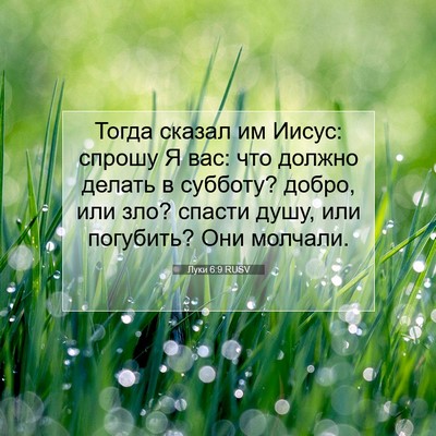 Picture 07 - Луки 6:9 RUSV - Тогда сказал им Иисус: - Bible Verse Picture
