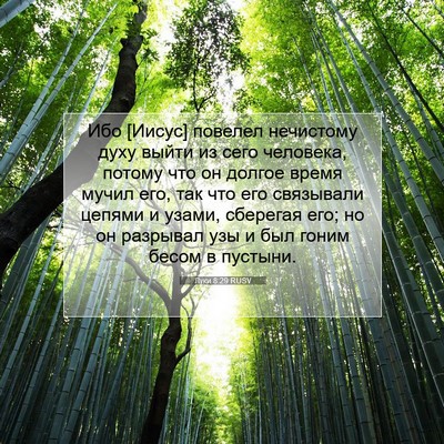Picture 07 - Луки 8:29 RUSV - Ибо [Иисус] повелел - Bible Verse Picture