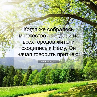 Picture 07 - Луки 8:4 RUSV - Когда же собралось - Bible Verse Picture