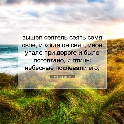 Picture 07 - Луки 8:5 RUSV - вышел сеятель сеять семя - Bible Verse Picture