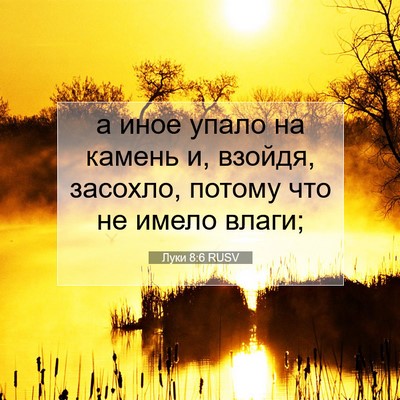 Picture 07 - Луки 8:6 RUSV - а иное упало на камень и, - Bible Verse Picture