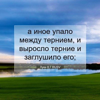 Picture 07 - Луки 8:7 RUSV - а иное упало между тернием, - Bible Verse Picture