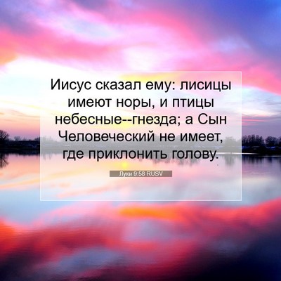 Picture 07 - Луки 9:58 RUSV - Иисус сказал ему: лисицы - Bible Verse Picture