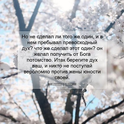 Picture 07 - Малахия 2:15 RUSV - Но не сделал ли того же - Bible Verse Picture