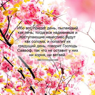 Picture 07 - Малахия 4:1 RUSV - Ибо вот, придет день, - Bible Verse Picture