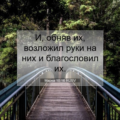 Picture 07 - Марка 10:16 RUSV - И, обняв их, возложил руки - Bible Verse Picture