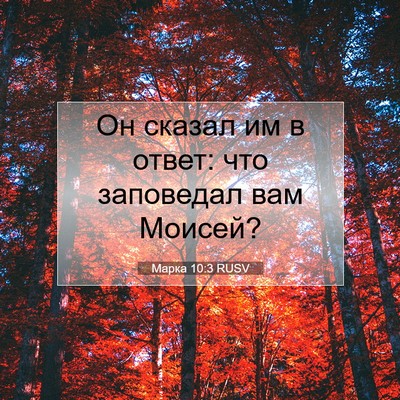 Picture 07 - Марка 10:3 RUSV - Он сказал им в ответ: что - Bible Verse Picture