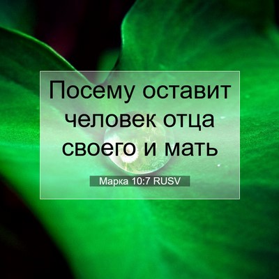 Picture 07 - Марка 10:7 RUSV - Посему оставит человек - Bible Verse Picture