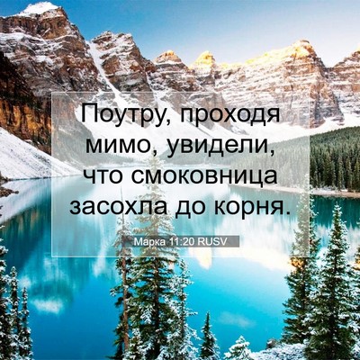 Picture 07 - Марка 11:20 RUSV - Поутру, проходя мимо, - Bible Verse Picture