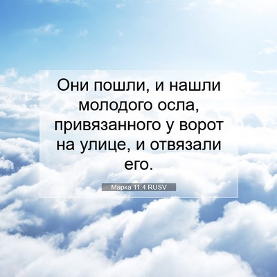 Picture 07 - Марка 11:4 RUSV - Они пошли, и нашли молодого - Bible Verse Picture