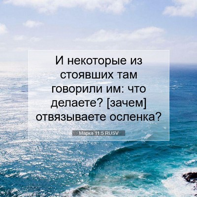 Picture 07 - Марка 11:5 RUSV - И некоторые из стоявших - Bible Verse Picture