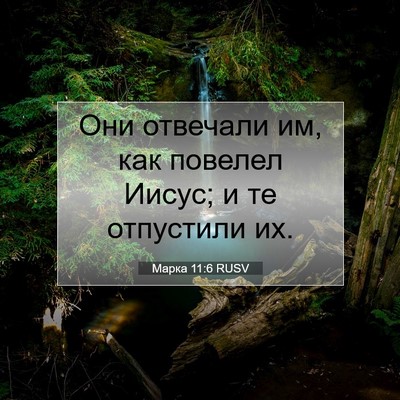 Picture 07 - Марка 11:6 RUSV - Они отвечали им, как - Bible Verse Picture