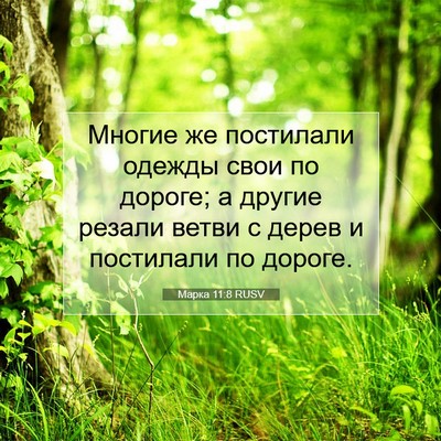 Picture 07 - Марка 11:8 RUSV - Многие же постилали одежды - Bible Verse Picture