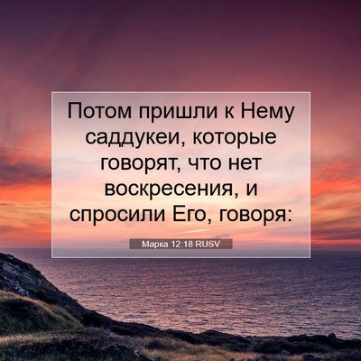 Picture 07 - Марка 12:18 RUSV - Потом пришли к Нему - Bible Verse Picture